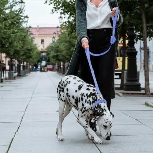 Wisedog Two Handles Dog Leash, Moonlight Blue, S|0.8" x 4.2 ft-5 ft - Image 6