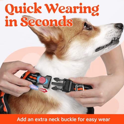 rabbitgoo Dog Harness Medium Sized, No Pull 3 Buckles Easy On & Off - Image 2