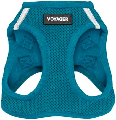 Voyager Step-in Air Dog Vest Harness - Turquoise, Large by BestPetSuppliesLLC