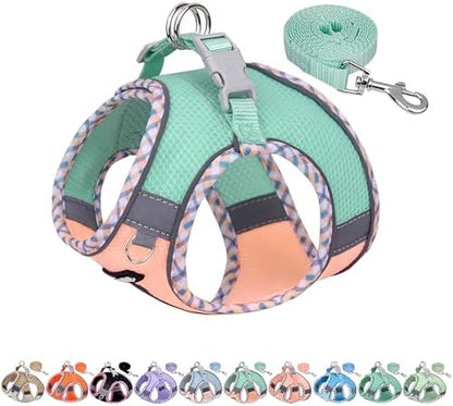 AIITLE Escape-Proof Dog Harnesss and Leash Set, Turquoise-Pink L by AIITLE-FORPETSBETTERLIFE
