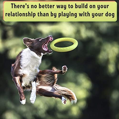 PetSpy Dog Ring Toy – Flying Ring for Outdoor Play, Floating Training & Fetch Toy for Throwing, Catching & Chewers – Durable EVA Flying Disc for Small, Medium & Large Dogs - Image 4