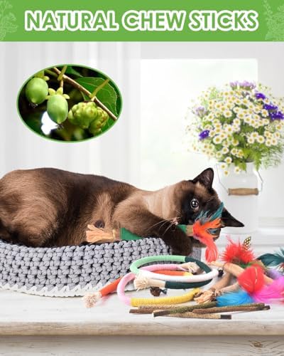 TINDTOP Cat Chew Toys, Silvervine Chew Sticks with 2 Pack Chew Ropes - Image 5