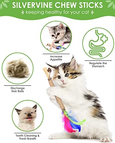TINDTOP Silvervine Sticks for Cats with Natural Feather, Catnip Chew Toys - Image 2