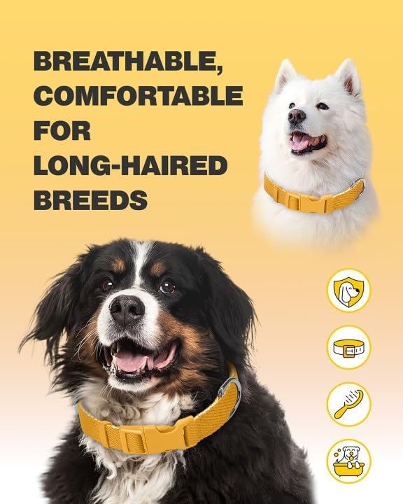Dynmeow Soft and Breathable Cotton Dog Collar, Durable Adjustable Heavy-Duty Pet Collar with Quick-Release Buckle, Lightweight for Sensitive Skin for Large Dogs, Yellow, L