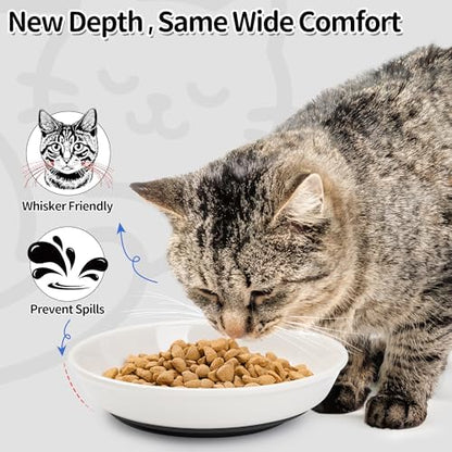 Cat Food Bowls, Whisker Friendly Ceramic Cats Bowls with Nonslip Silicone Base, Pack of 3 Quiet Dishes and Plates for Feeding Indoor Cats, Kittens and Small Dogs(Fishbone,Deeper) - Image 5