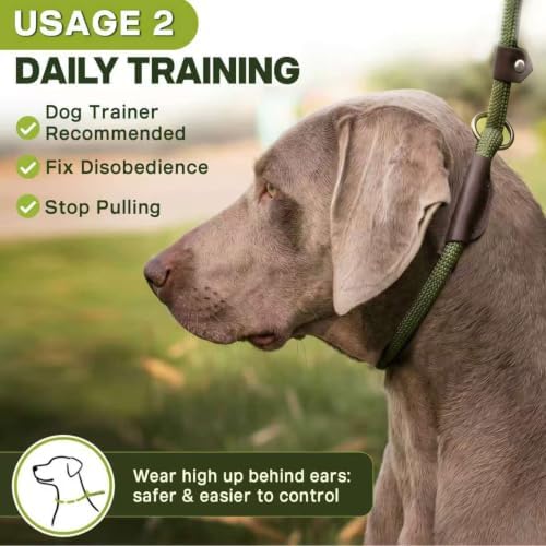 Fida Durable Slip Lead Dog Leash, 6 FT x 3/8" Dog Training Leash, Green - Image 5