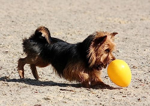 Jolly Pets Jolly Egg Dog Toy, 12 Inches/Large, Yellow (Pack of 2) - Image 5