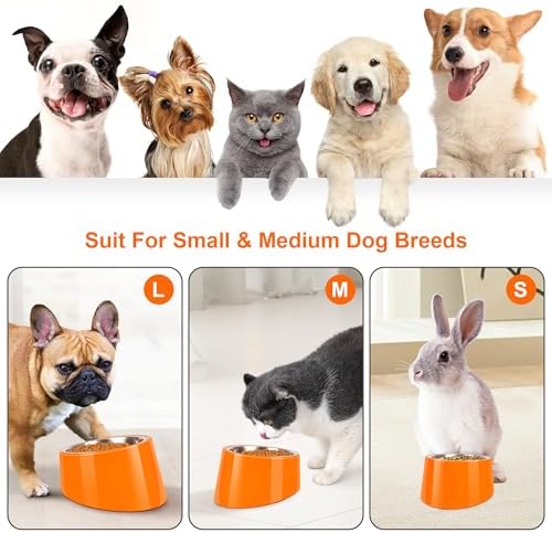 Tilted Dog Bowl Non-Slip & Non-Spill Pet Feeder with Elevated Detachable Melamine Stand, Easy to Get Food Dog Dish, S/100ml Orange - Image 3