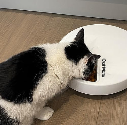 Cat Mate Replacement Bowl with Stainless Steel Inserts for 5-Meal Feeder - Image 6