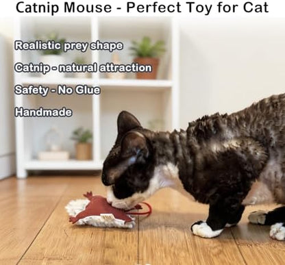 Catnip Mouse Toys for Cats, 3Pcs Interactive Plush Mice Cat Toys for Indoor - Image 3