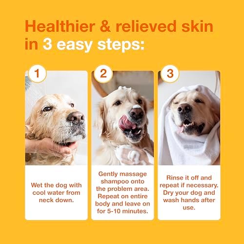 Douxo S3 PYO Medicated Dog Shampoo with 3% Chlorhexidine for Dogs – Antibacterial & Antiseptic Yeast Infection Treatment For Dogs & Cats, Clinically Proven, 6.7 fl oz - Image 6