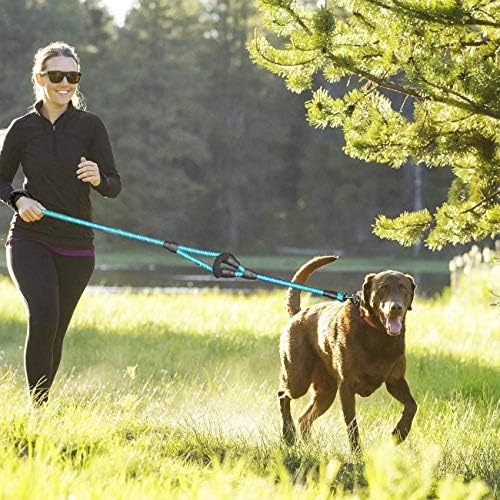 JSXD Heavy Duty Double Handle Dog Leash - 5 FT, Padded & Reflective, Rope for Small to Large Dogs (Blue) - Image 6