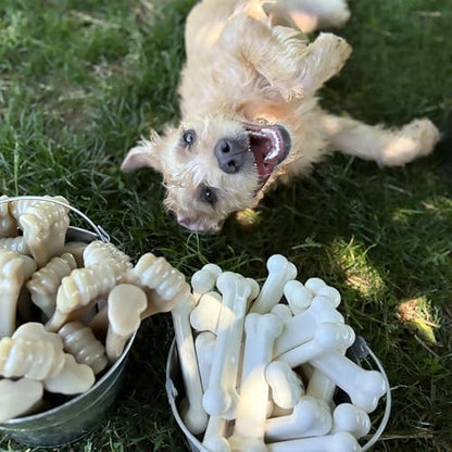 Nylabone Power Chew Original Bone Dog Chew Toy, Chicken Flavor, Small - Image 2
