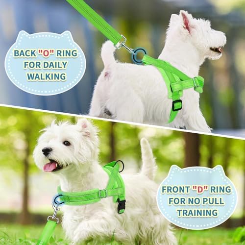 SlowTon No Pull Small Dog Harness and Leash Set with Front Clip - Image 4