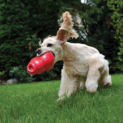 KONG Bounzer, Lightweight Rubber Fetch and Retrieve Toy, for Medium Dogs - Image 4