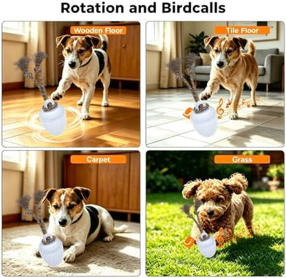 Interactive Dog Ball Toy for Medium & Large Dogs, Automatic Moving Dog Toy with Bird Sounds and Rope, USB Rechargeable Smart Ball with Fast & Slow Modes, 500mAh Dog Enrichment Toy - Image 3