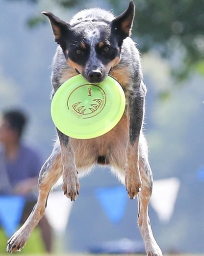 Hyperflite K-10 Jawz Puncture Resistant Dog Flying Disc, Medium-Large - Image 5
