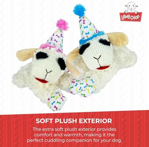 Multipet Lamb Chop Dog Plush Toy w/Birthday Hat - Squeaky Toy for All Dogs - Soft Plush - Stuffed Animal Dog Toys for Playing - Cute Birthday Toy (10.5”, Pink Hat, 5 Squeakers) - Image 6