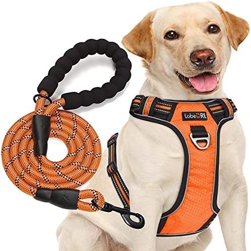 tobeDRI No Pull Dog Harness Adjustable Reflective Oxford Easy Control Medium Large Dog Harness with A Free Heavy Duty 5ft Dog Leash, Orange, M by tobeDRI