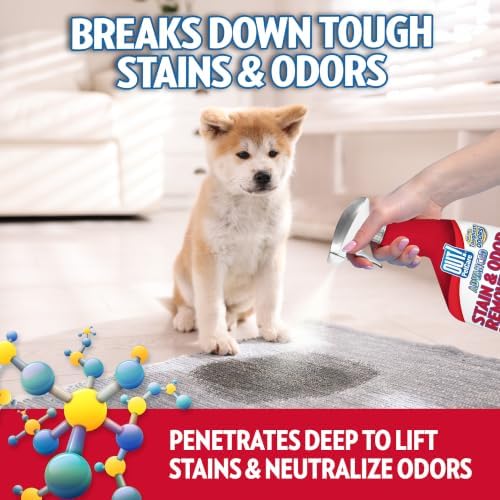 OUT! PetCare Pet Stain & Odor Remover, Carpet Cleaner, 32oz (2 Pack) - Image 4