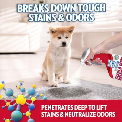 OUT! PetCare Pet Stain & Odor Remover, Carpet Cleaner, 32oz (2 Pack) - Image 4