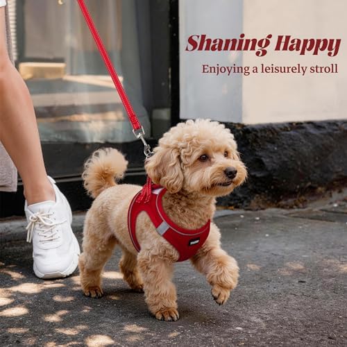No Pull Dog Puppy Harness and Leash Set Reflective Mesh Vest Small - Image 6