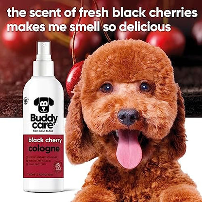 Buddycare Dog Cologne - Black Cherry - 200ml - Fruity and Bold Scented Dog Cologne - Refreshes Between Dog Washes - Image 3