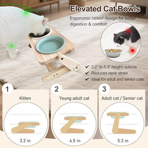 Elevated Cat Bowl, 12 Ounce Ceramic Raised Cat Bowl for Dry and Wet Food, 2 Dishs with Adjustable Wood Stand, for Indoor Kitten, Cats and Puppy, Dishwasher Safe (Cream+Green - Image 3