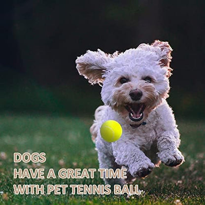 ptlsy 2inch Dog Ball for Puppy Small Medium Dogs Fetching Exercise, 16 Pack - Image 5