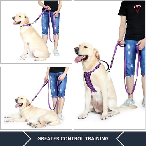 Plutus Pet Double Handle Dog Leash, 6 FT Long, for Medium Large Dogs - Image 3