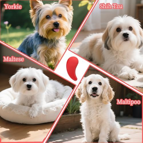 Comma-Shaped Small Dog Brush, Puppy Essentials (Rose Red) - Image 4