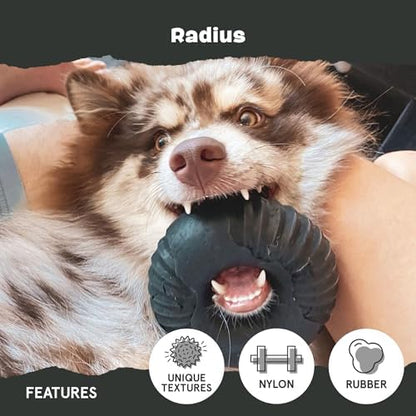 BarkBox Radius Super Chewer - Toy for Large Dogs - Image 4