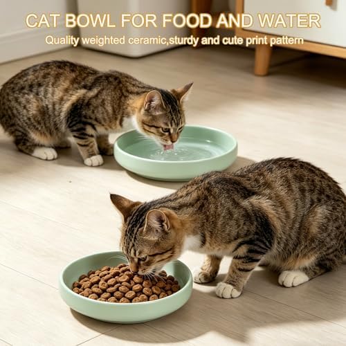 Shallow Elevated Cat Bowls with Bamboo Stand, 6.1 Inch Wide Ceramic Cat Dish Whisker Friendly, 2 Pack Pet Food and Water Plates - Image 5