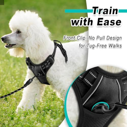 BARKBAY Dog Harness for Small Sized Dog No Pull 2 Leash Clips Dog Vest - Image 2