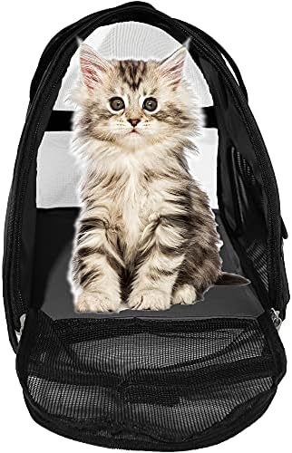 MuchL Pet Carrier Soft-Sided Carriers for Cat Carriers Dog Carrier for Small Medium Cats Dogs Puppies Pet Carrier Airline Approved Cat Dog Pet Travel Carrier (Medium,Black) - Image 2