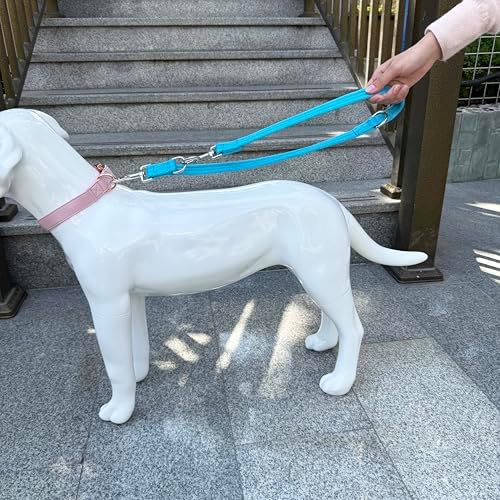 Double Ended Dog Leash,for Obedience Training Easy to Use,Lightweight,Soft for Large and Medium Dogs (Blue, 1M*2.5CM) - Image 5