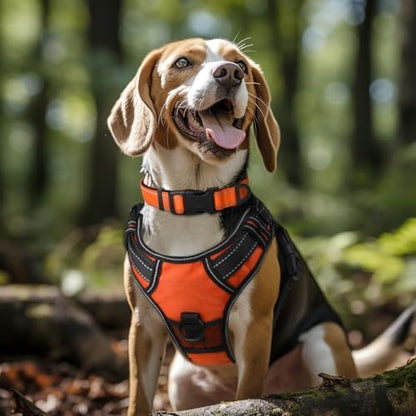 Joytale Reflective Dog Collar, Adjustable Neoprene Padded, Orange XL - Image 2
