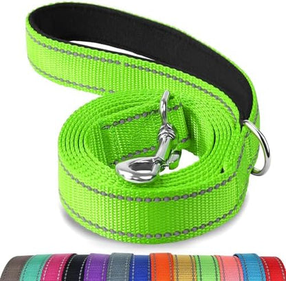 Joytale Reflective Dog Leash for Small Dogs, 4 FT x 3/4", Green by Joytale