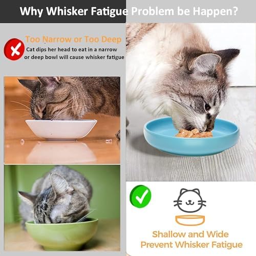 Ceramic Cat Bowls,Shallow Cat Dishes for Food and Water, 6 inch Matte Finish Wide Cat Food Bowl,Whisker Fatigue Free Pet Puppy Kitten Bowl Set of 3,Dishwasher Safe - Image 5