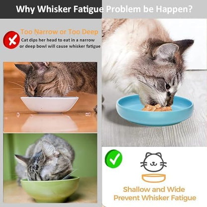 Ceramic Cat Bowls,Shallow Cat Dishes for Food and Water, 6 inch Matte Finish Wide Cat Food Bowl,Whisker Fatigue Free Pet Puppy Kitten Bowl Set of 3,Dishwasher Safe - Image 5