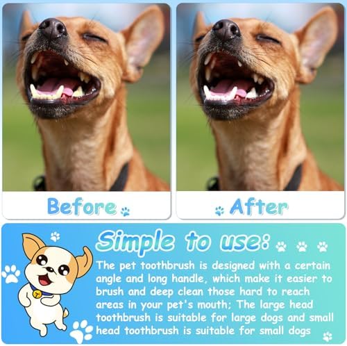 Honeydak 70 Pcs Dog Tooth Brush Dual Headed Pet Toothbrush, White - Image 4