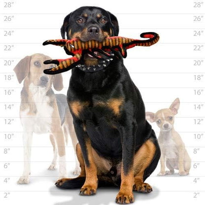 TUFFY - World's Tuffest Soft Dog Toy - Desert - Multiple Layers. Made Durable, Strong & Tough. Interactive Play (Tug, Toss & Fetch). Machine Washable & Floats (Scorpion, Large 2 Pack)