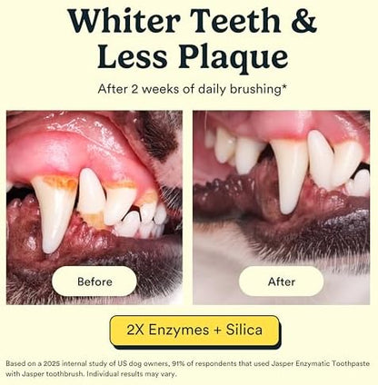 Jasper Dog Toothpaste Double Enzymatic, Chicken Flavor 3.5oz - Image 4