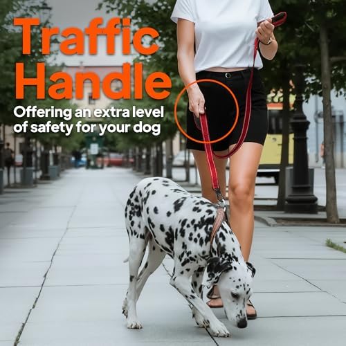Twoear 4FT 1IN Heavy Duty Dog Leash for Large Dogs with 2 Padded Handles - Image 6