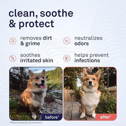 Petpost Large Grooming Wipes for Dogs | 70 Count Deodorizing Dog Cleaning Wipes with Coconut Extract & Aloe | Gentle Pet Wipes with Cherry Blossom Scent for Full-Body Grooming - Image 2