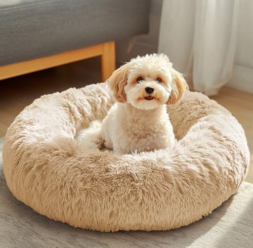 JOLLYVOGUE Dog & Cat Bed, Calming Anti-Anxiety Pet Bed for Small Dogs, Fluffy Donut Cushion for Small and Medium Pets (20") by JOLLYVOGUE
