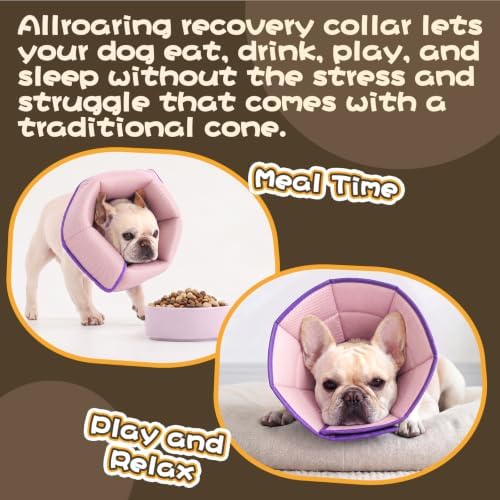 Allroaring Adjustable Dog Cone for Spay, Comfy Recovery Collar Purple L - Image 6