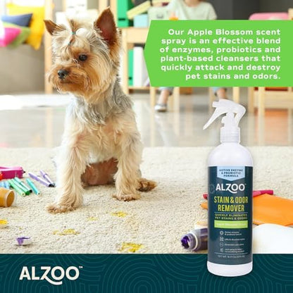 ALZOO Stain & Odor Remover, Quickly Lifts & Dissolves Pet Stains & Helps Eliminate Odors, 100% Plant-Based Active Ingredients, Apple Blossom Scent, 16 Fl. Oz Spray Bottle - Image 2