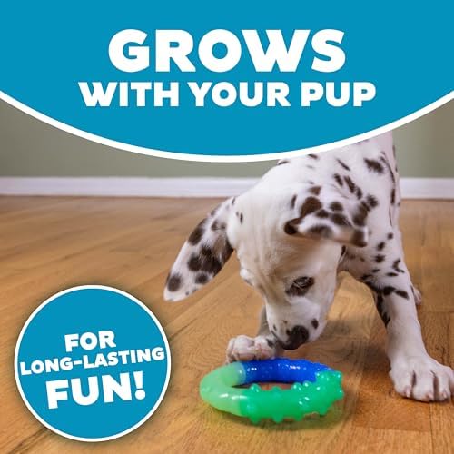 Grow-With-Me Ring Dental Dog Chew Toy, Bounces & Floats, 4.7" - Image 5