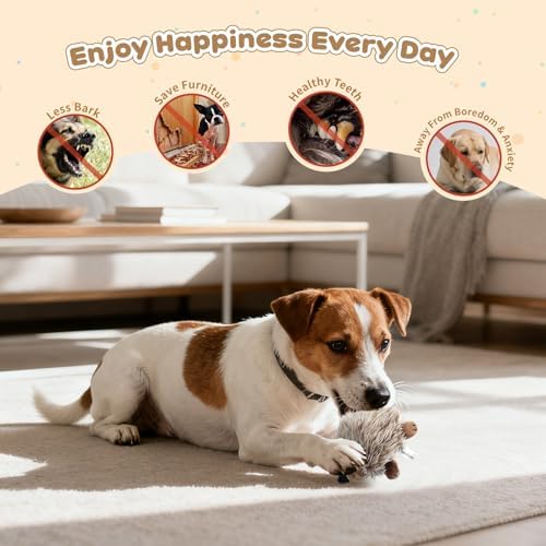 Pawaboo 2 Pack Hedgehog Plush Dog Toy, Squeaky Dog Chew Toy Soft Plush - Image 5